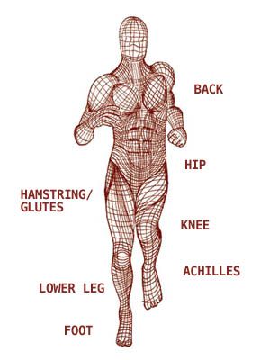 injury chart