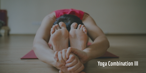Ashtanga Vinyasa Yoga Combination III